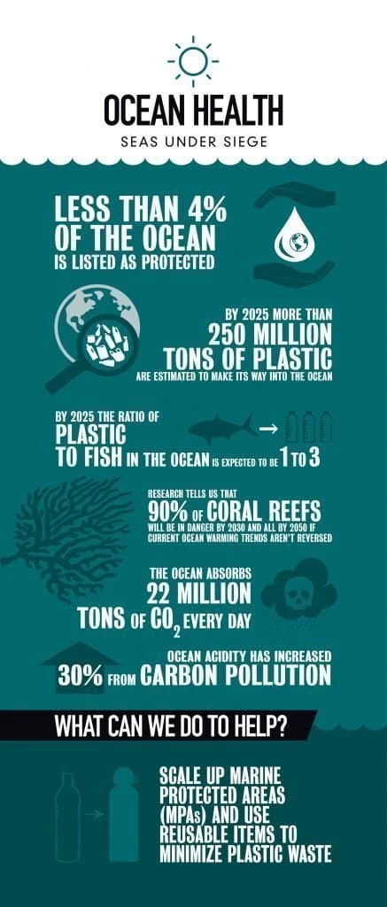 Ocean Health infographic — seas under siege